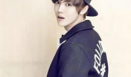 鹿晗女友爆料后续视频播放,揭秘恋情细节与幕后真相